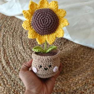 Home crochet pot
